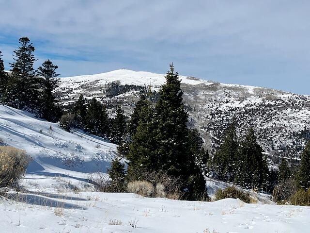 3934 S Summit Mountain Road RD, Lot 3, Summit, photo 17 of 22