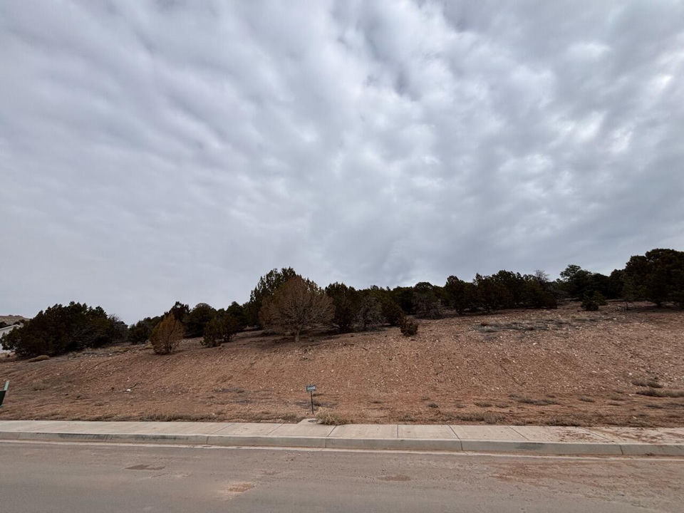 1919 S Oak Springs RD, Cedar City