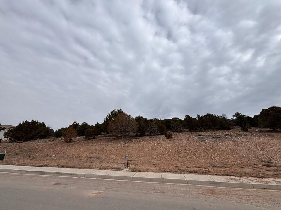 1919 S Oak Springs RD, Cedar City, photo 2
