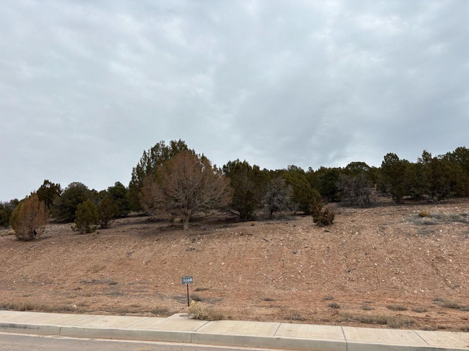 1919 S Oak Springs RD, Cedar City, photo 3