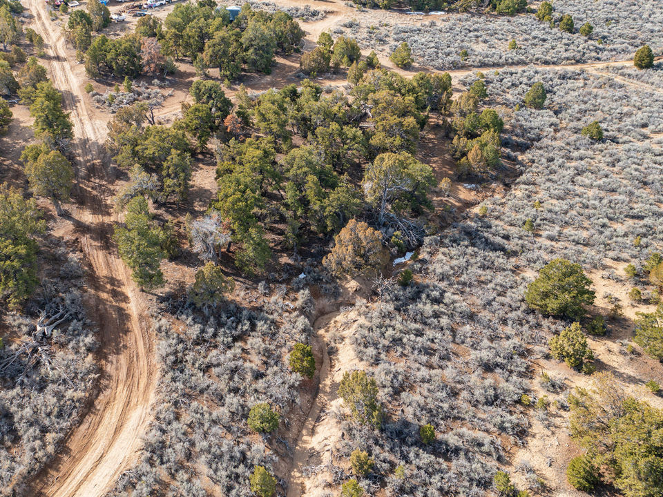 Pinion Ridge Lots 636/637, Duchesne, photo 3
