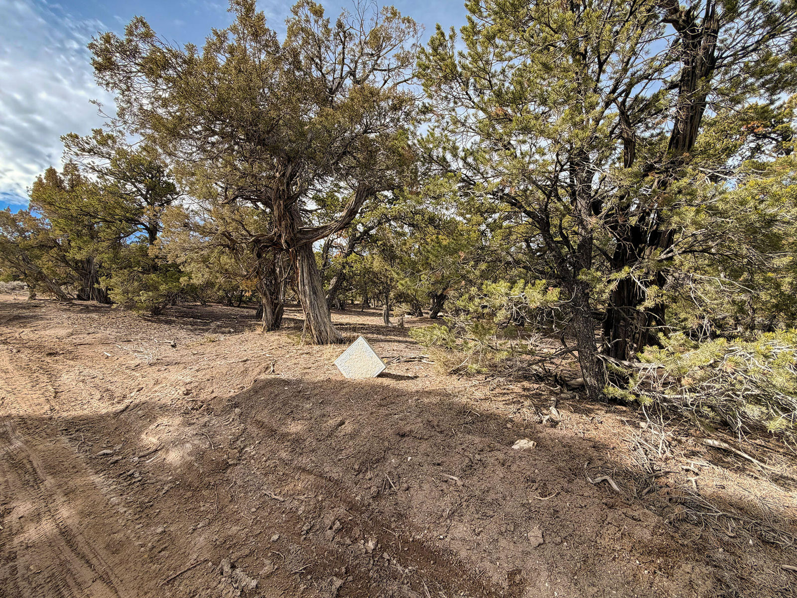 Pinion Ridge Lots 636/637, Duchesne, photo 15 of 21