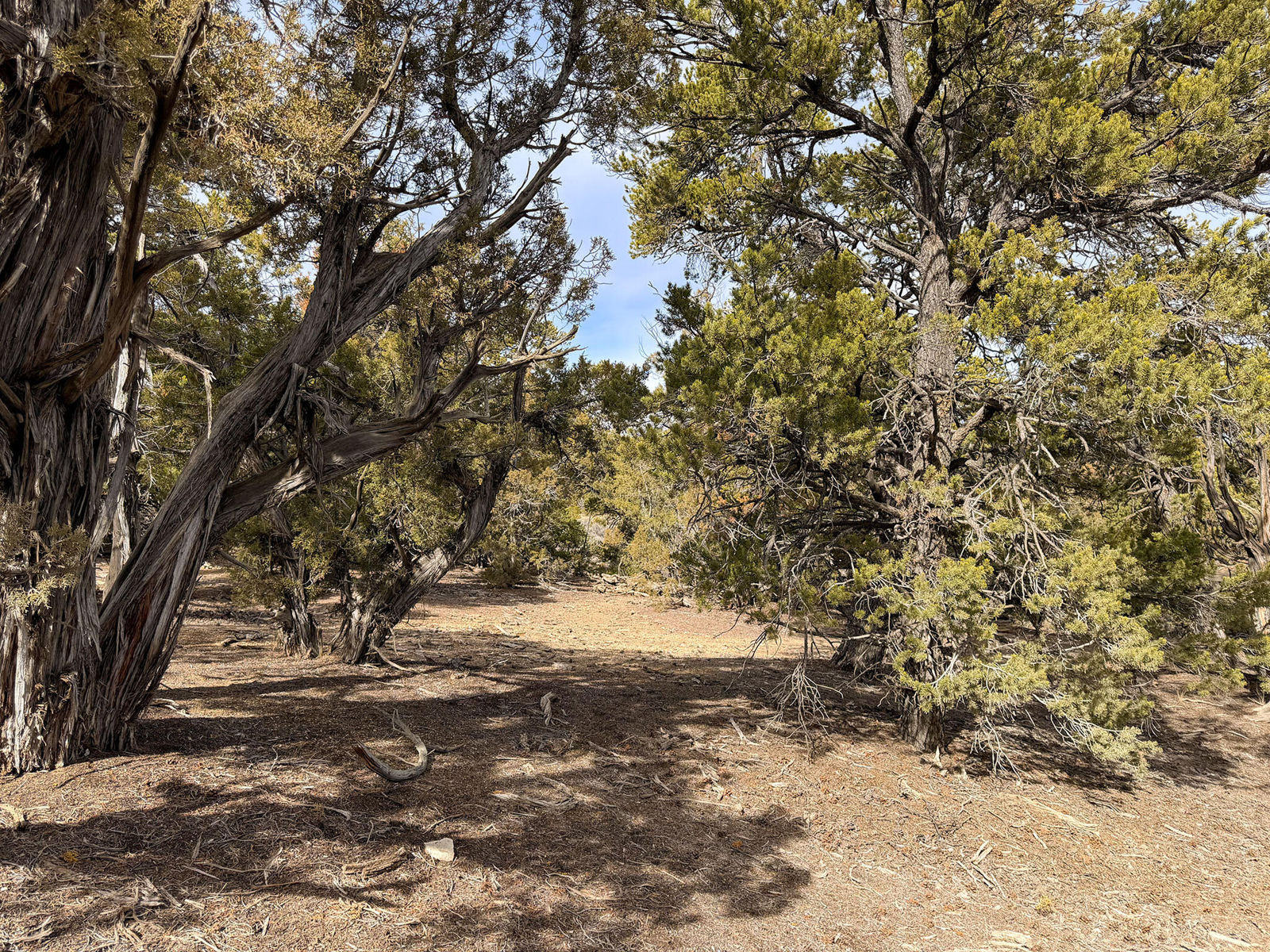 Pinion Ridge Lots 636/637, Duchesne, photo 16 of 21