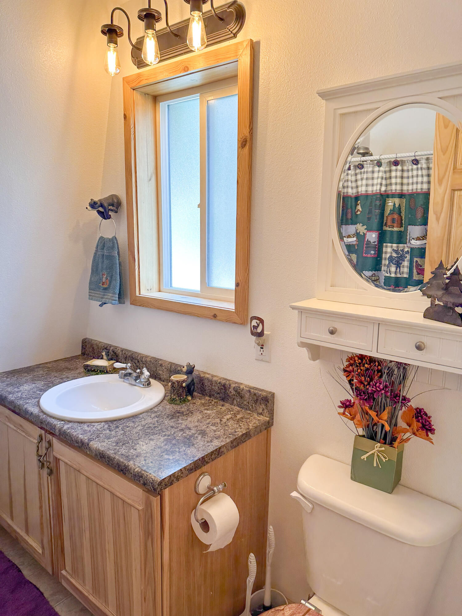 865 N Pine Knoll Loop, Duck Creek Village, photo 46 of 53