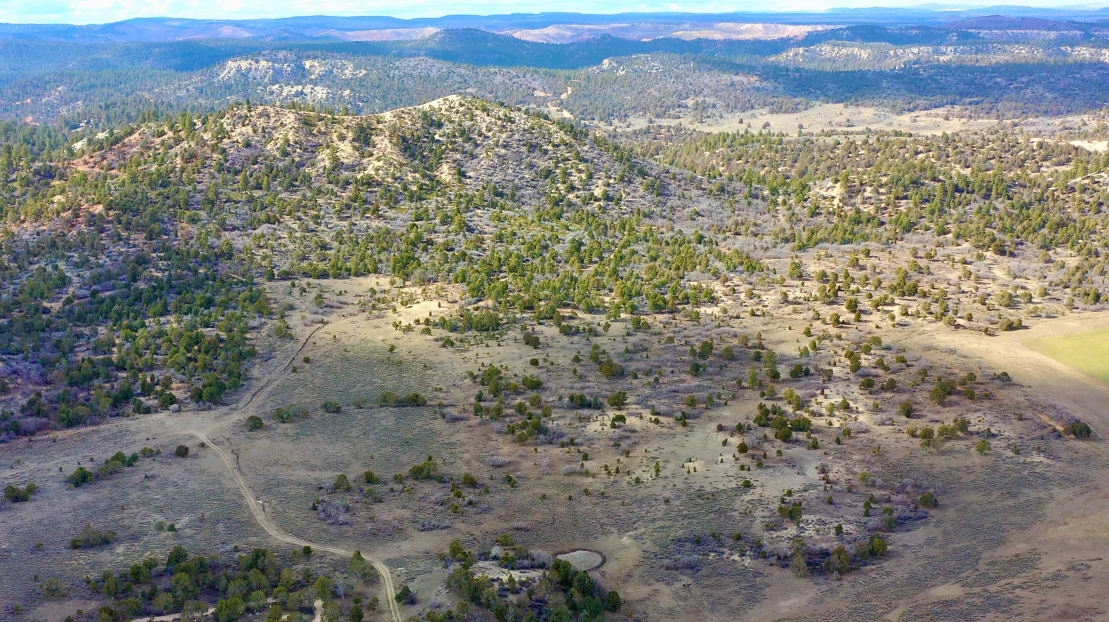 20.22 acres, Alton, photo 12 of 24