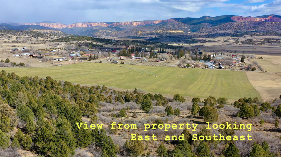 20.22 acres, Alton, photo 3