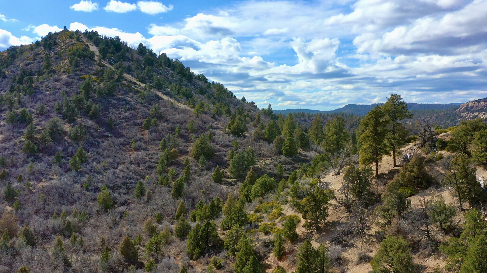 20.22 acres, Alton, photo 21 of 24