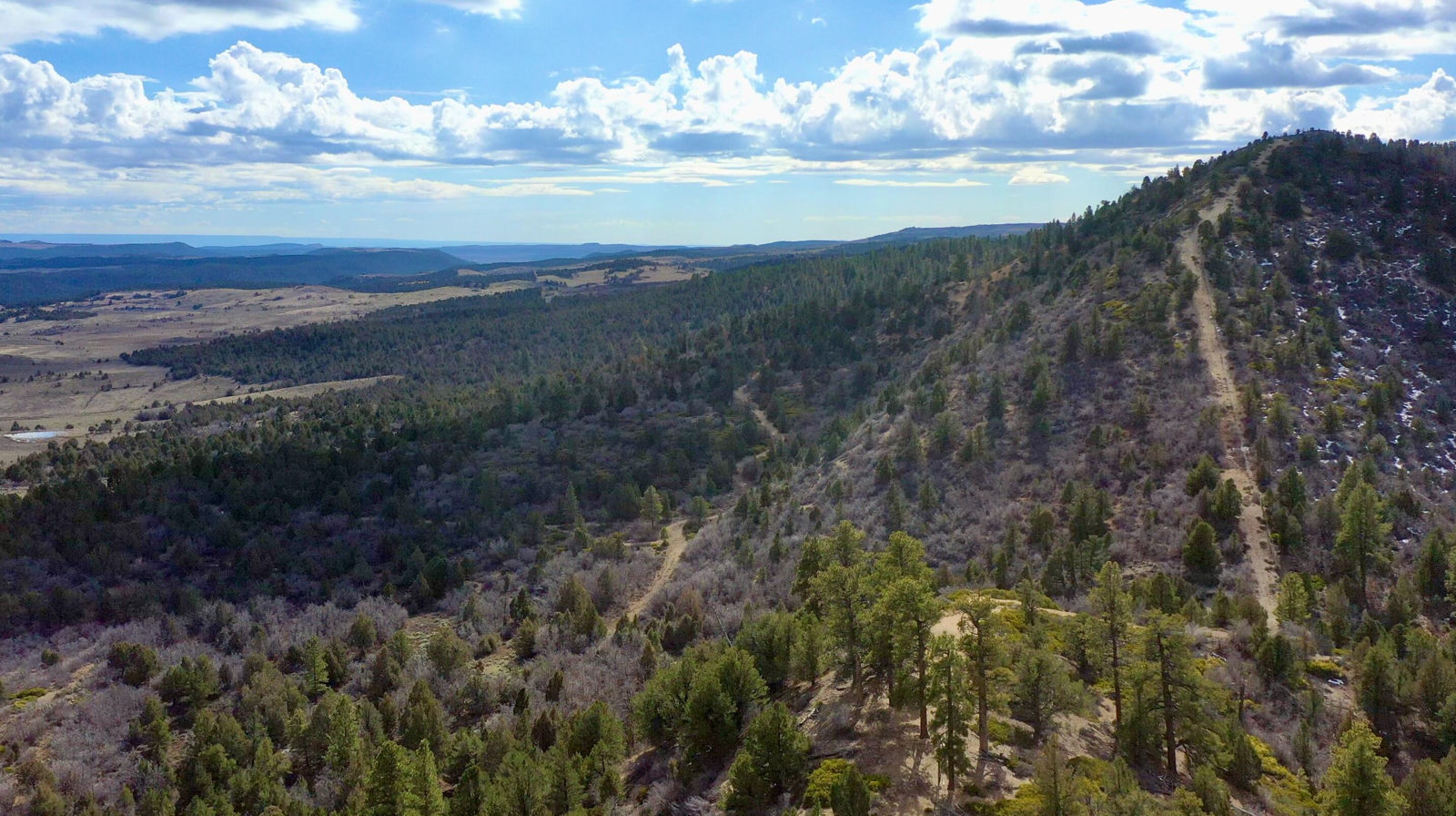 20.22 acres, Alton, photo 23 of 24