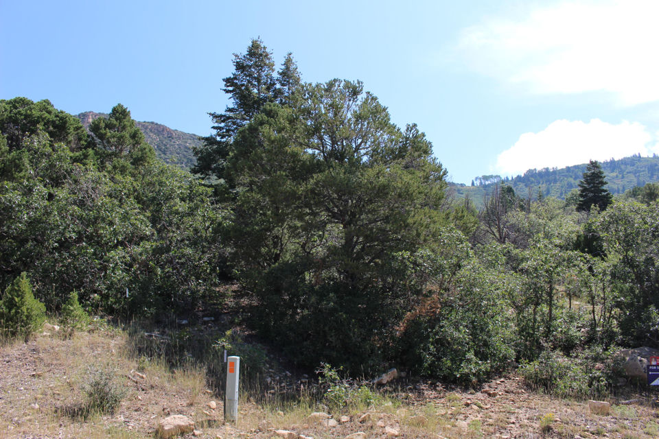 2289 S High Mountain View DR, Cedar City, photo 3