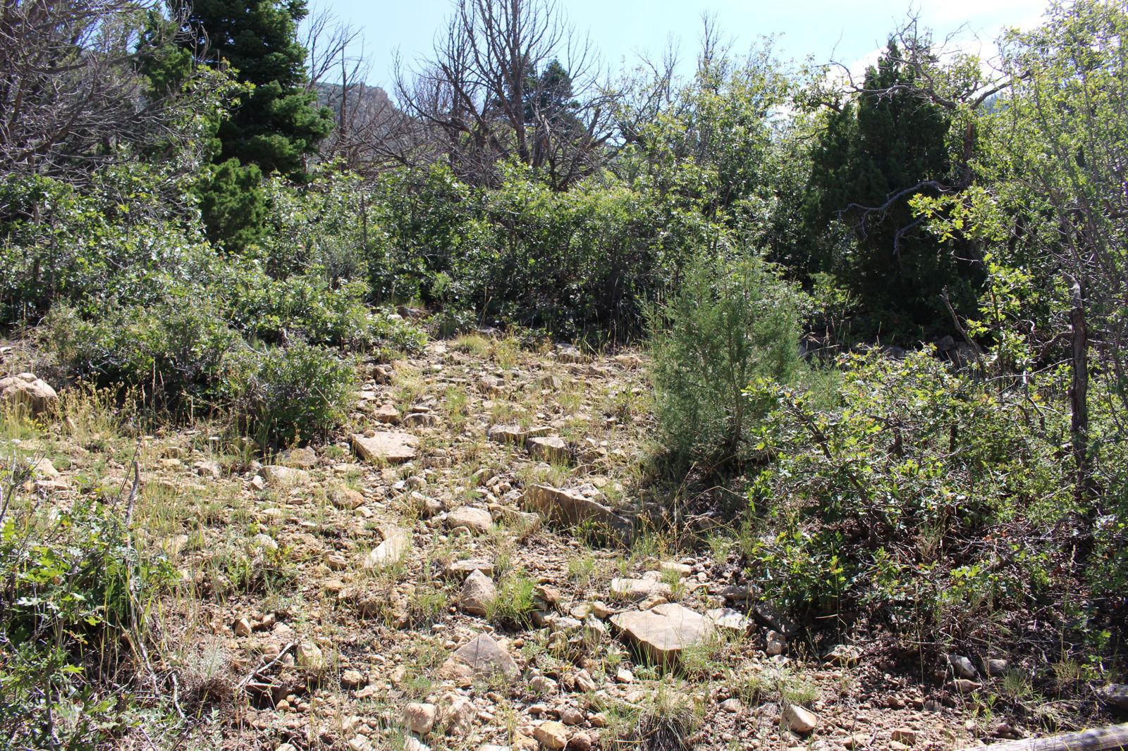2289 S High Mountain View DR, Cedar City, photo 5 of 14