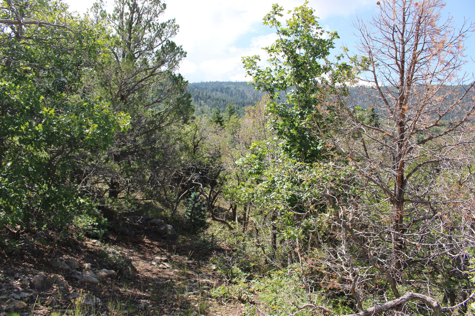2289 S High Mountain View DR, Cedar City, photo 6 of 14