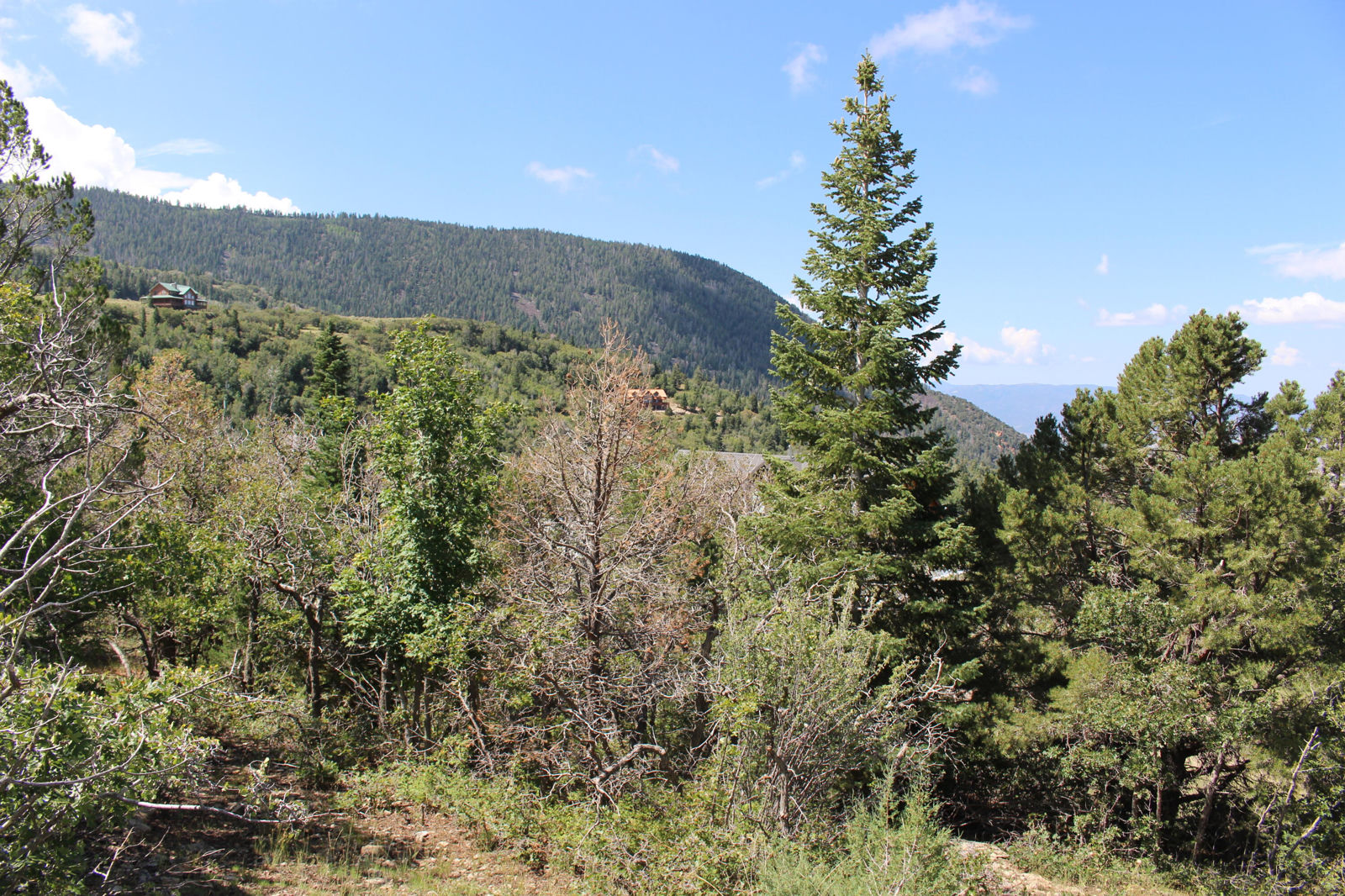 2289 S High Mountain View DR, Cedar City, photo 7 of 14
