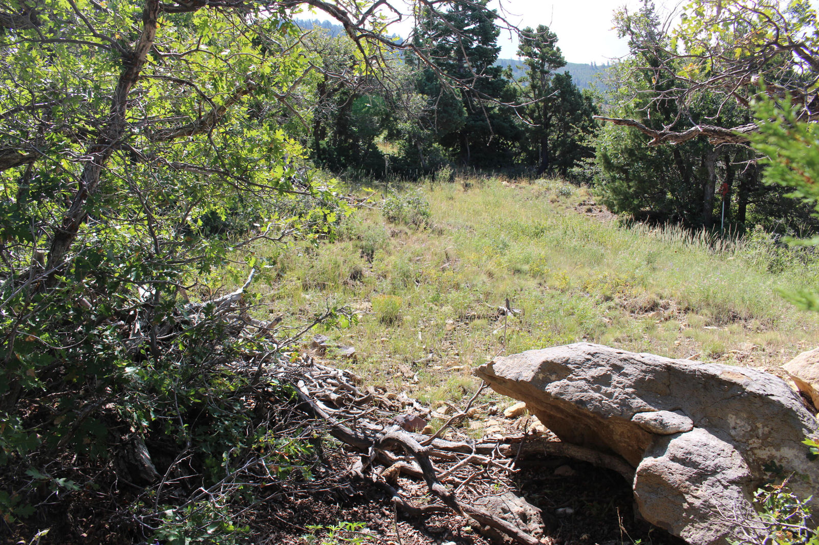 2289 S High Mountain View DR, Cedar City, photo 9 of 14