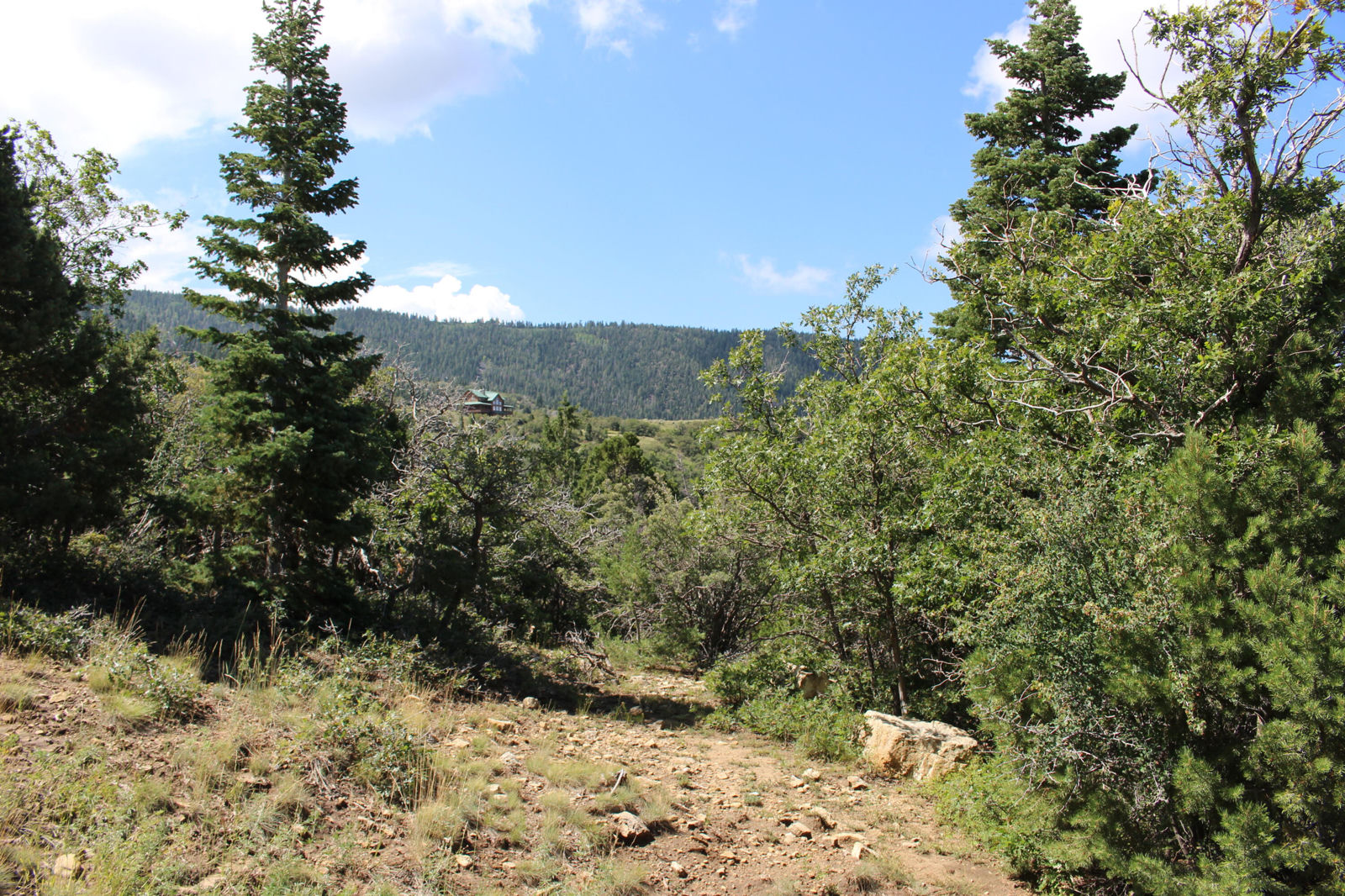 2289 S High Mountain View DR, Cedar City, photo 11 of 14