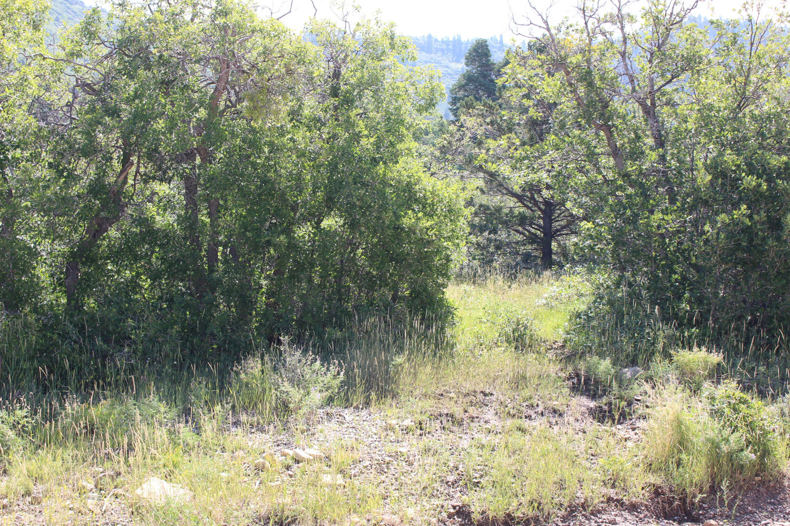 2267 S High Mountain View DR, Cedar City, photo 2 of 10