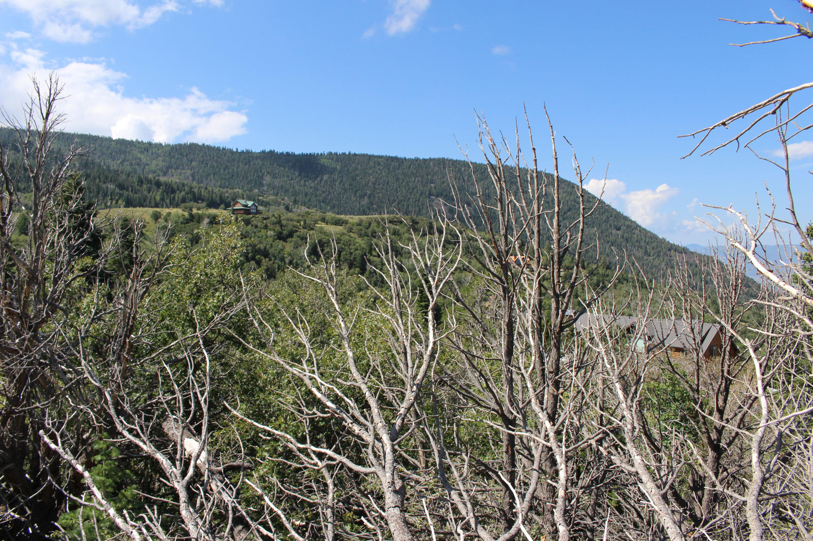2267 S High Mountain View DR, Cedar City, photo 9 of 10