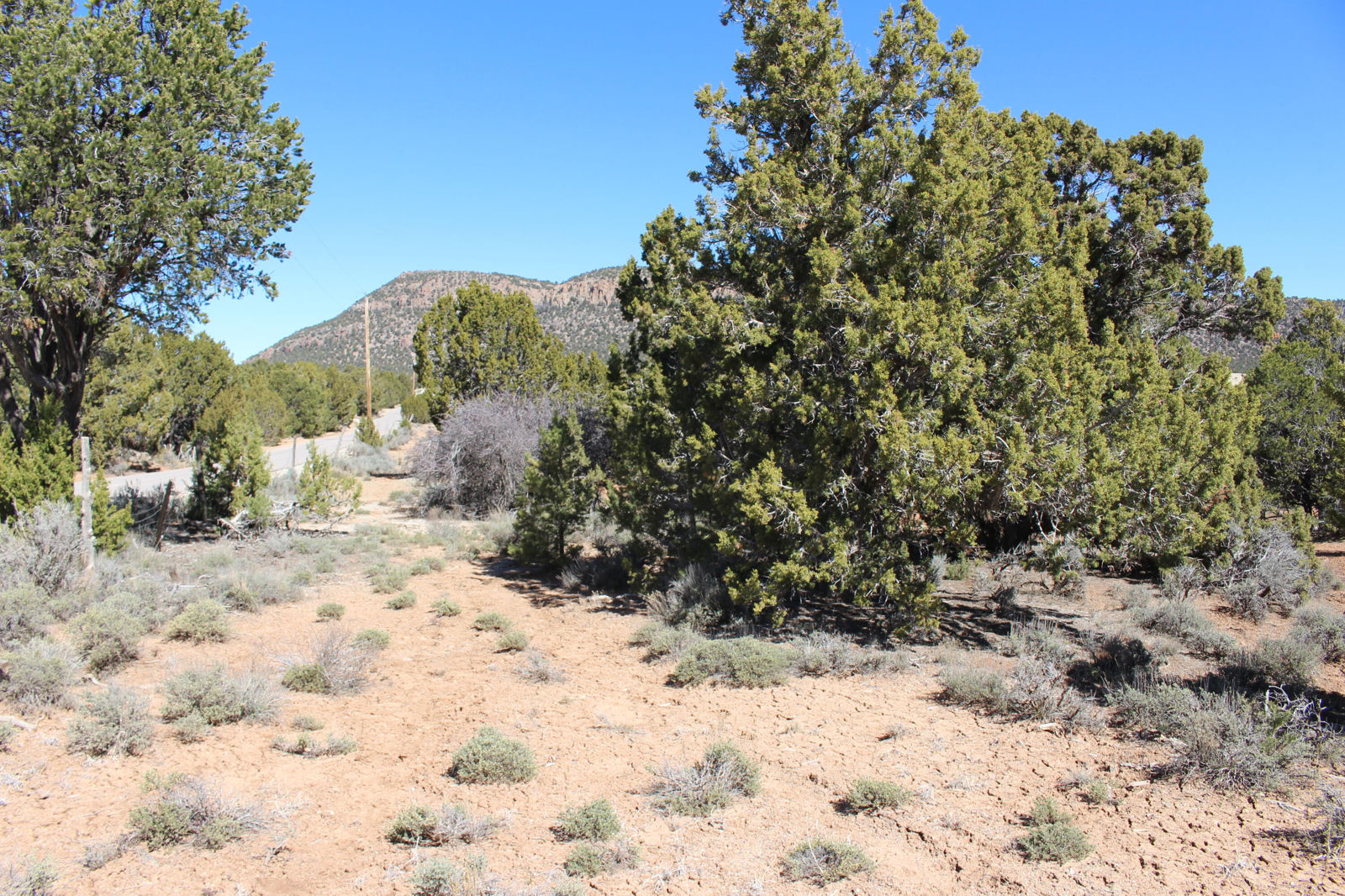 2362 N 11900 W, Cedar City, photo 5 of 39
