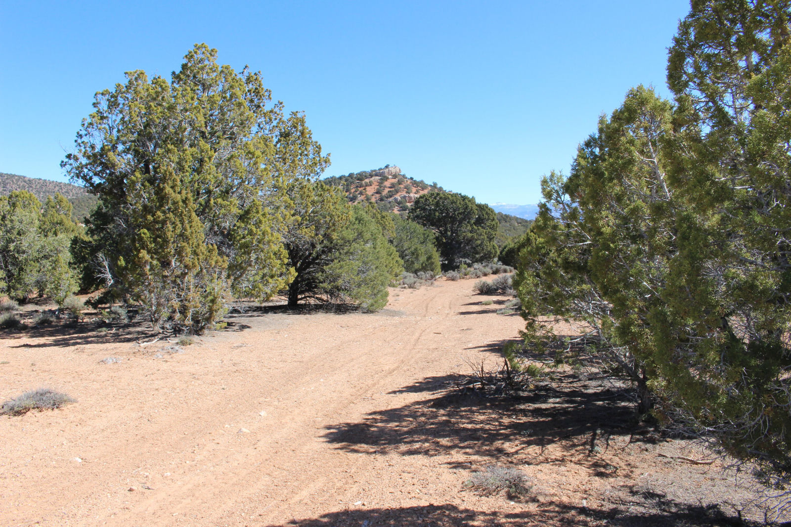2362 N 11900 W, Cedar City, photo 7 of 39