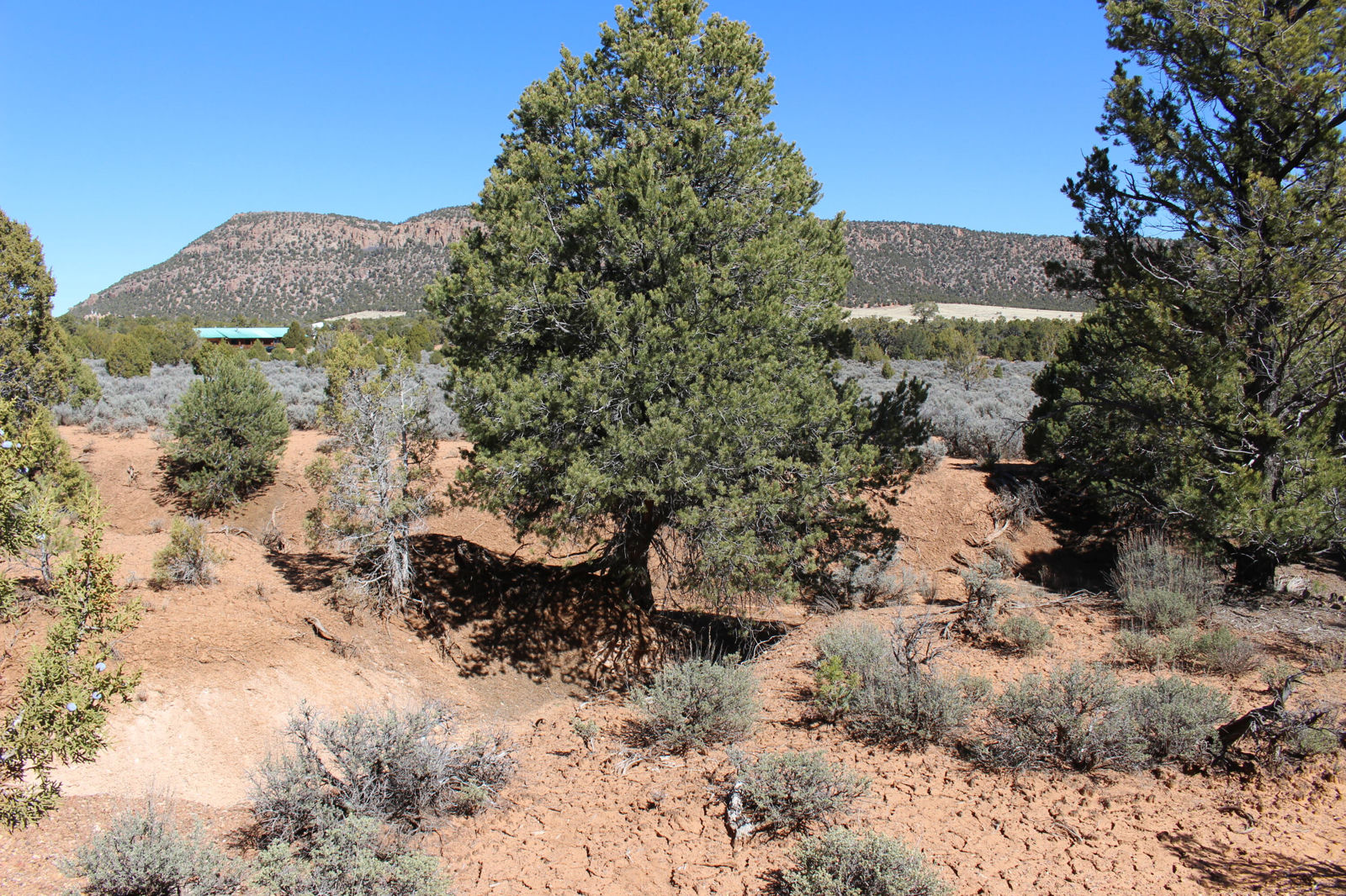 2362 N 11900 W, Cedar City, photo 8 of 39