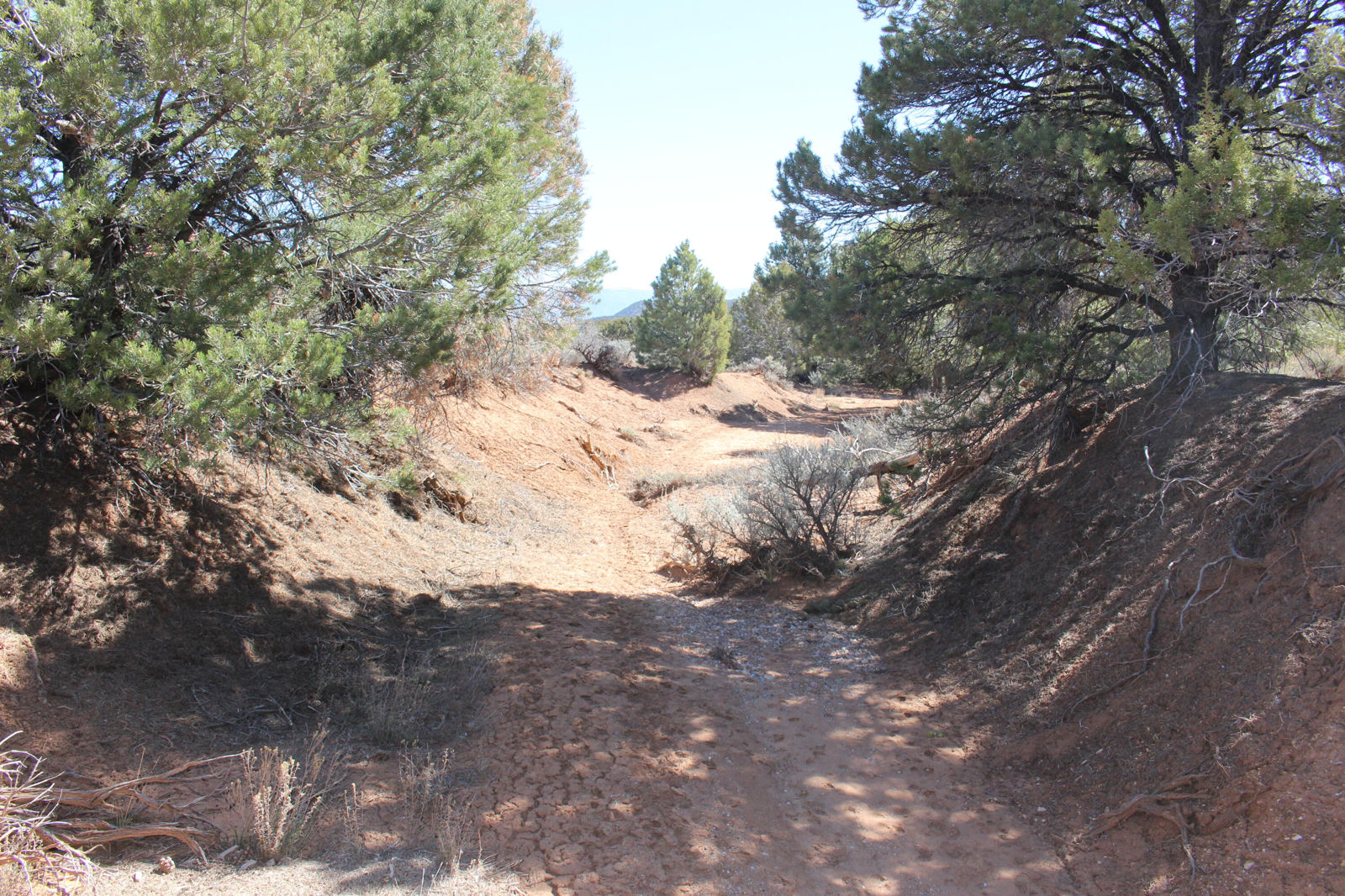 2362 N 11900 W, Cedar City, photo 9 of 39