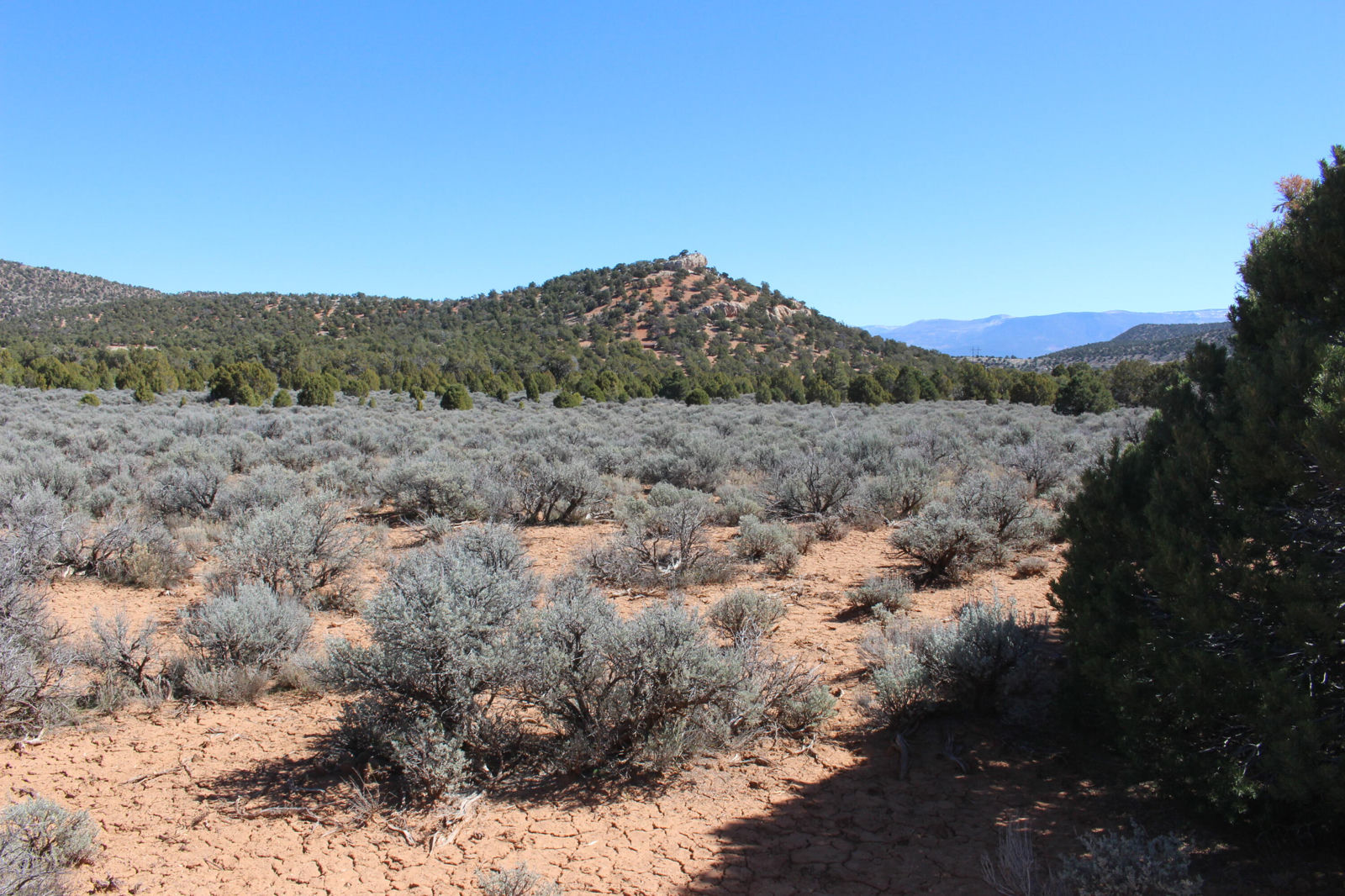 2362 N 11900 W, Cedar City, photo 11 of 39