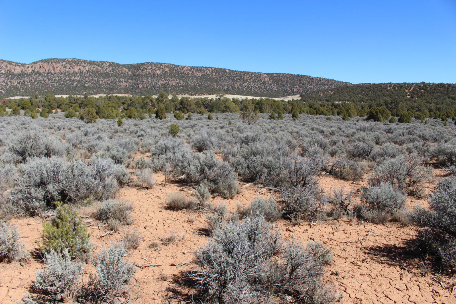 2362 N 11900 W, Cedar City, photo 12 of 39