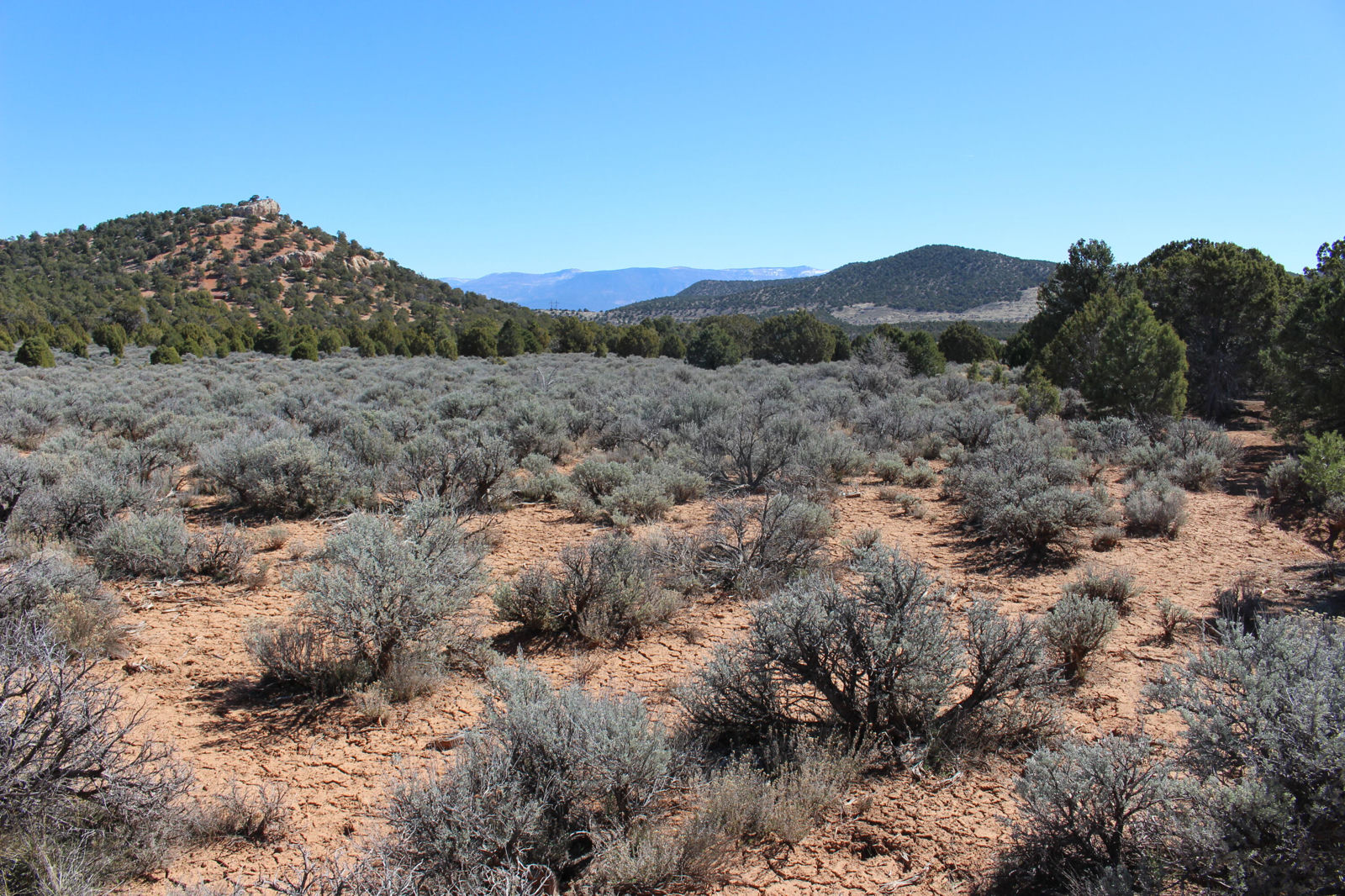 2362 N 11900 W, Cedar City, photo 13 of 39