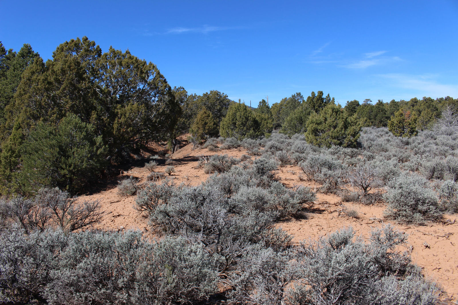 2362 N 11900 W, Cedar City, photo 14 of 39