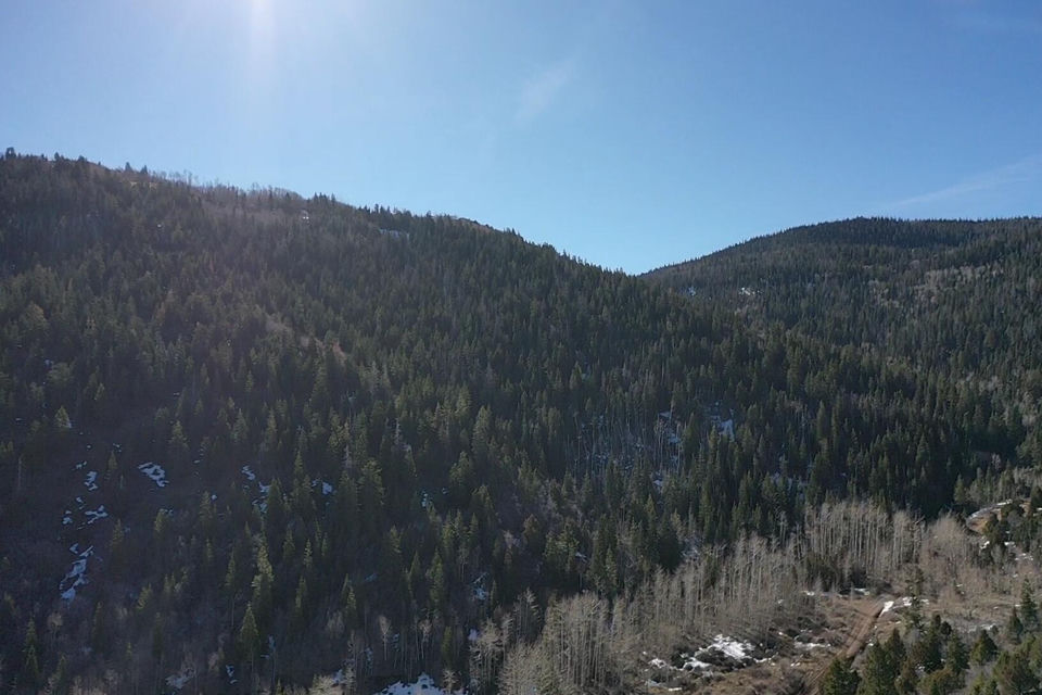 Lot 123 3200 Subdivision, Summit, photo 2