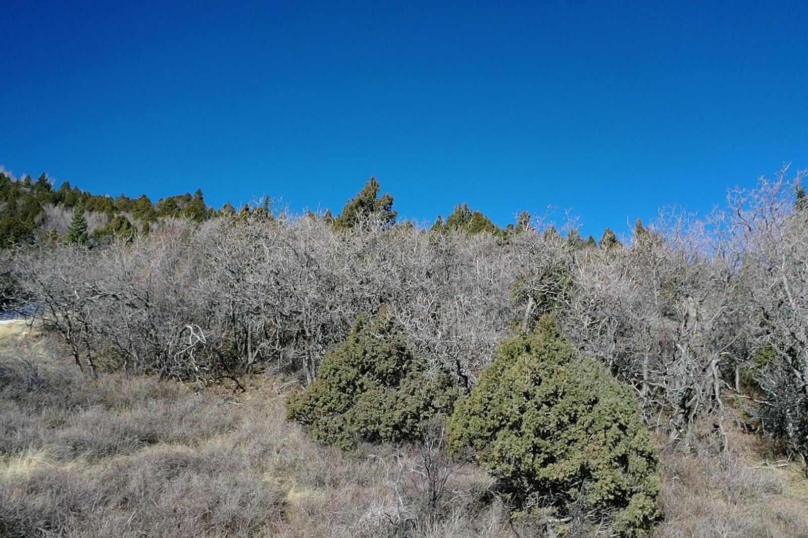Lot 123 3200 Subdivision, Summit, photo 8 of 19