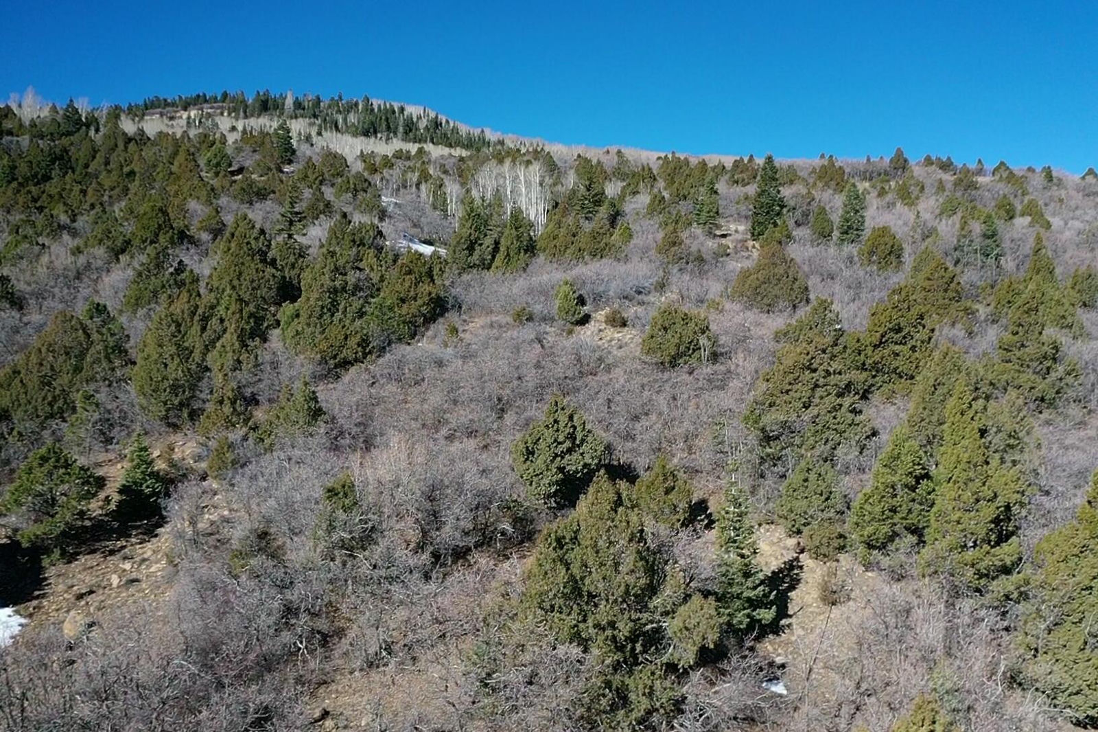 Lot 123 3200 Subdivision, Summit, photo 13 of 19