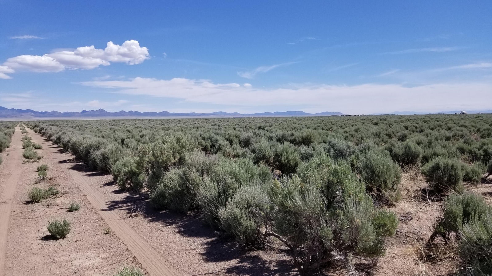 9600 N Hyw18, 8 Lots, Beryl, photo 7 of 29