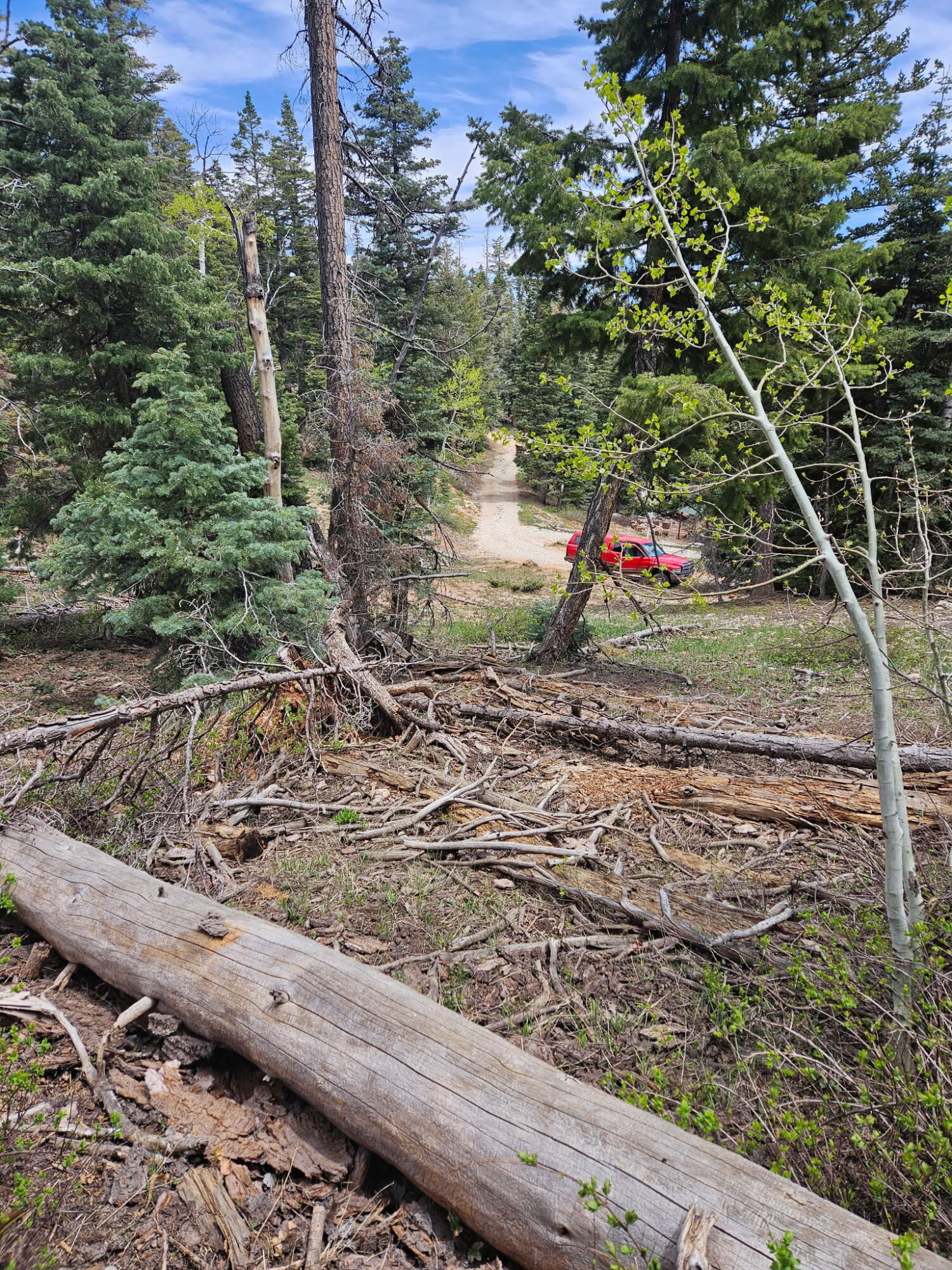 6250 W Brook LN, Duck Creek Village, photo 4 of 5