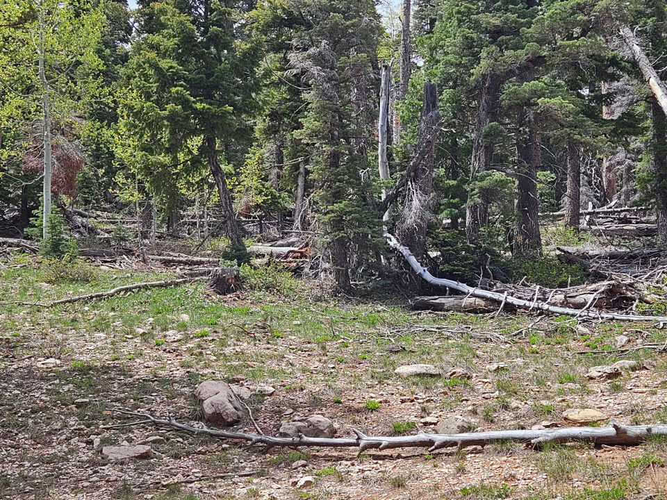 6250 W Brook LN, Duck Creek Village