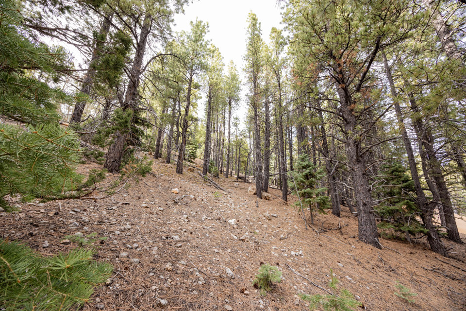 1720 E Centurion CIR, Duck Creek Village