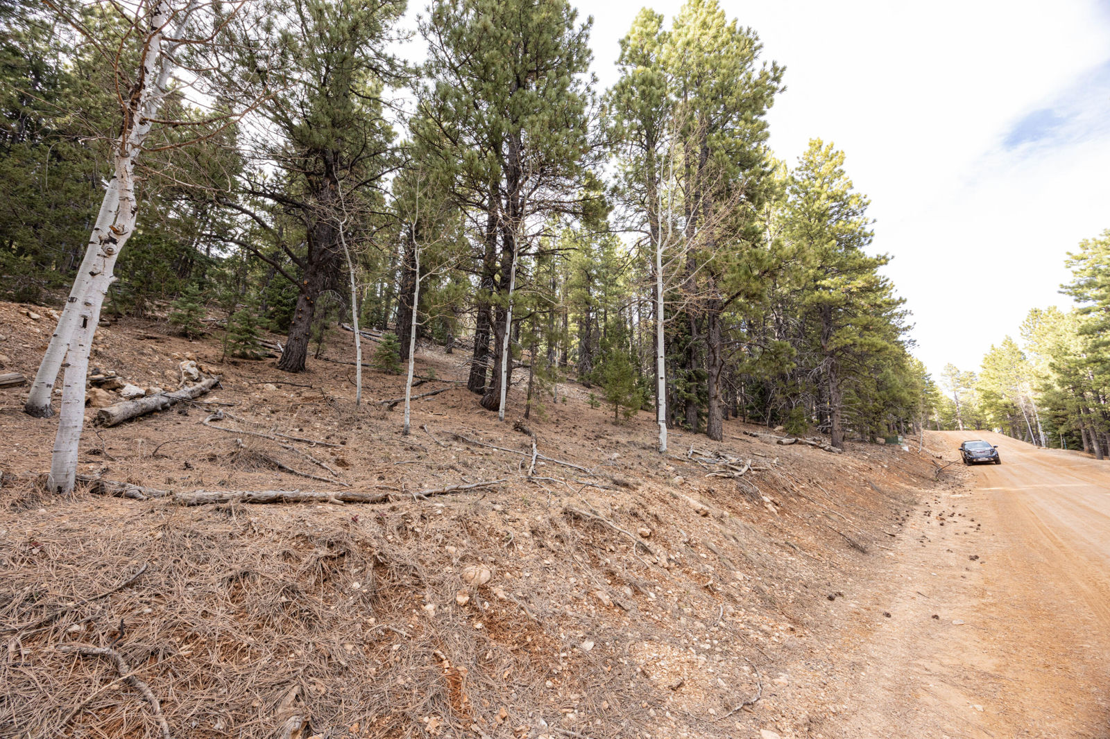 1720 E Centurion CIR, Duck Creek Village, photo 4 of 12