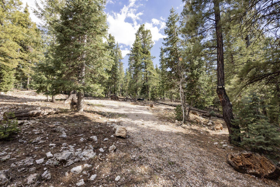 1740 E Ponderosa View LP, Duck Creek Village