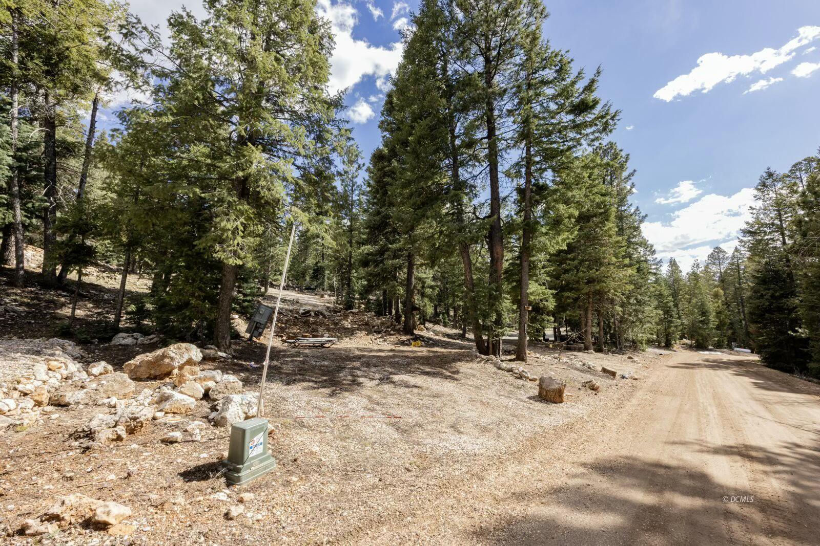 1740 E Ponderosa View LP, Duck Creek Village, photo 6 of 15