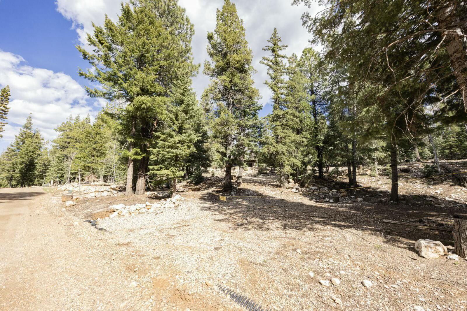 1740 E Ponderosa View LP, Duck Creek Village, photo 7 of 15