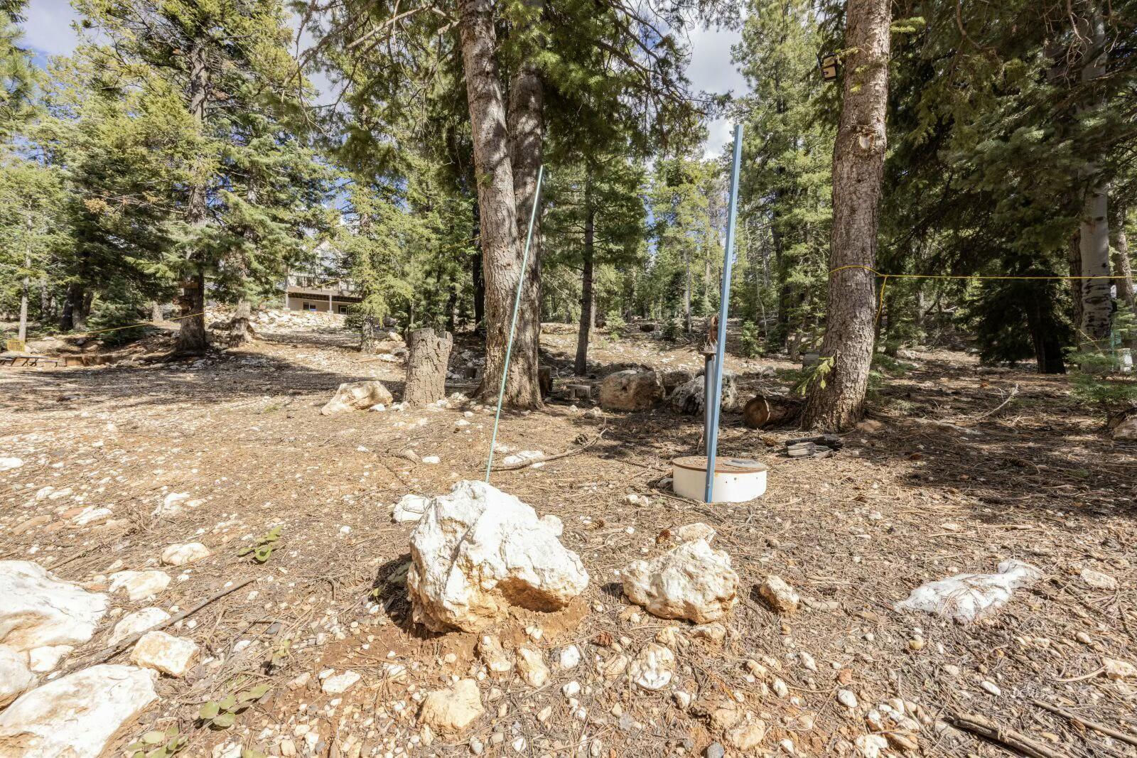 1740 E Ponderosa View LP, Duck Creek Village, photo 8 of 15