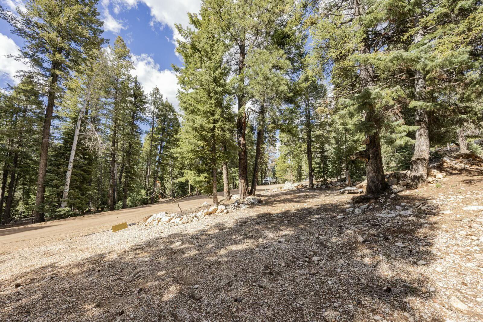 1740 E Ponderosa View LP, Duck Creek Village, photo 9 of 15