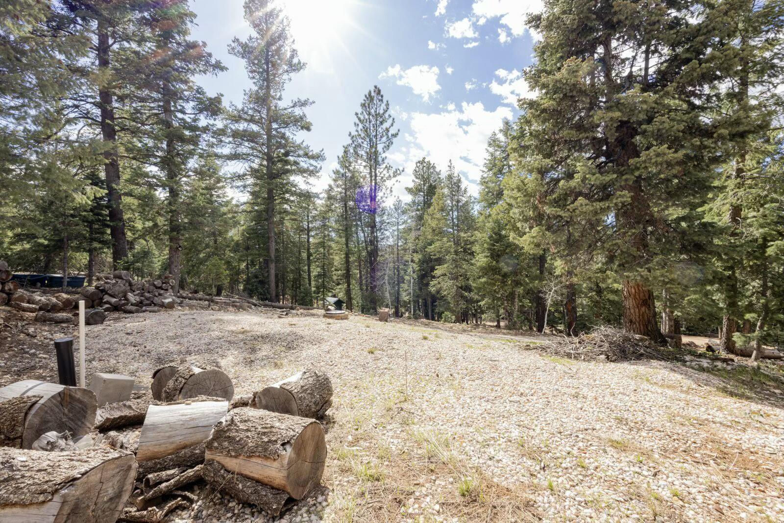 1740 E Ponderosa View LP, Duck Creek Village, photo 13 of 15