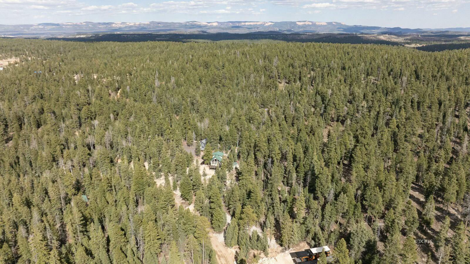 1740 E Ponderosa View LP, Duck Creek Village, photo 15 of 15