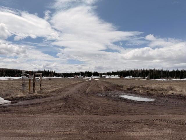 2533 E Meadow Lake DR, Brian Head, photo 3
