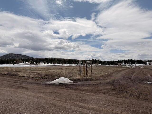 2533 E Meadow Lake DR, Brian Head, photo 4 of 9