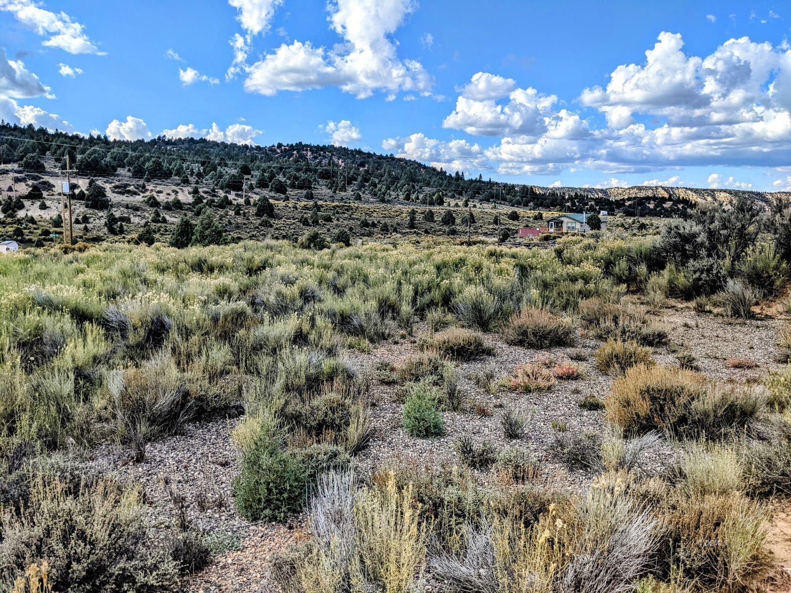 Havasupai DR, Lot 4, Duck Creek Village, photo 1