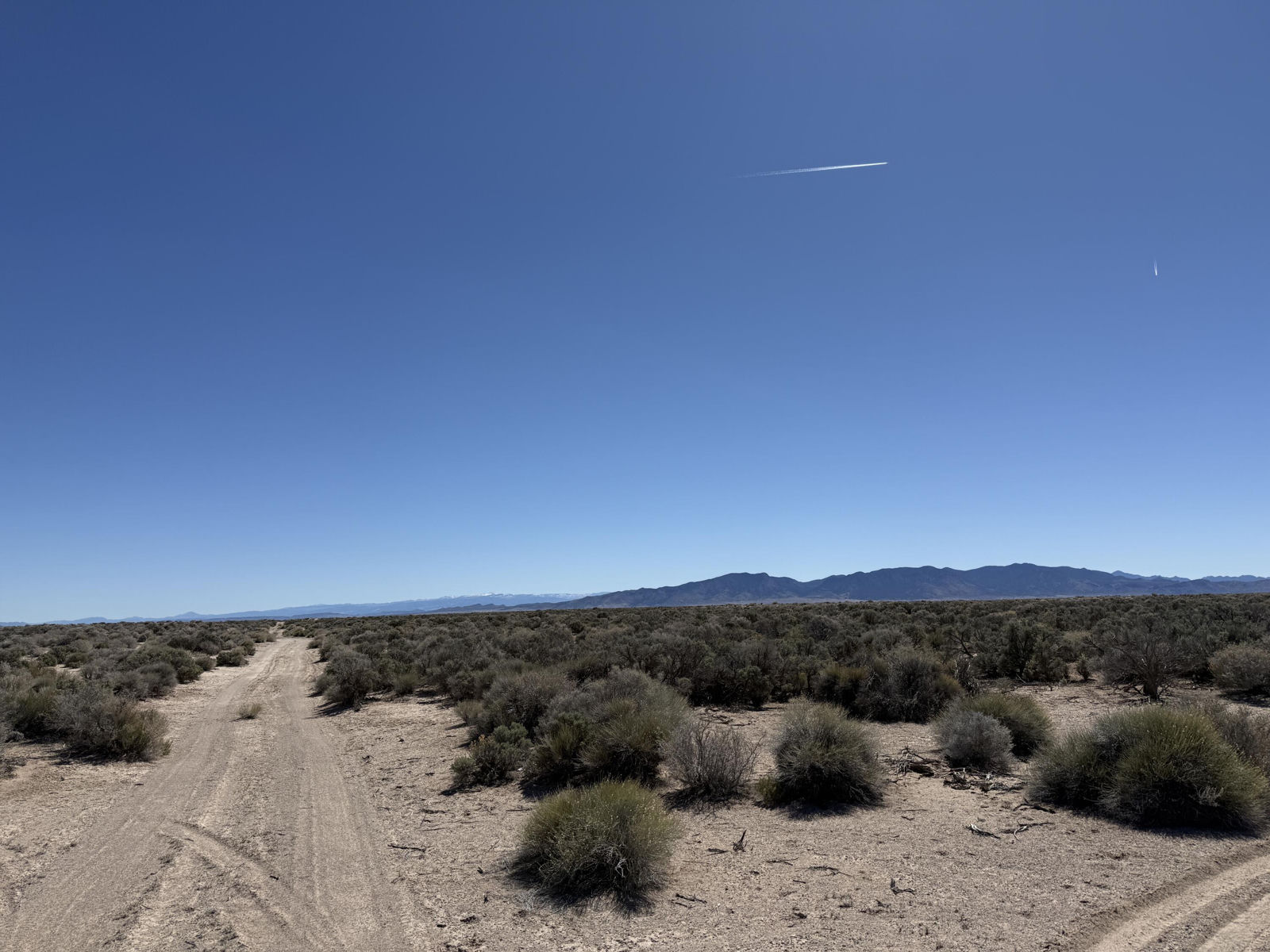 80 Acres (E-1271-0004-0036), Beryl, photo 4 of 15