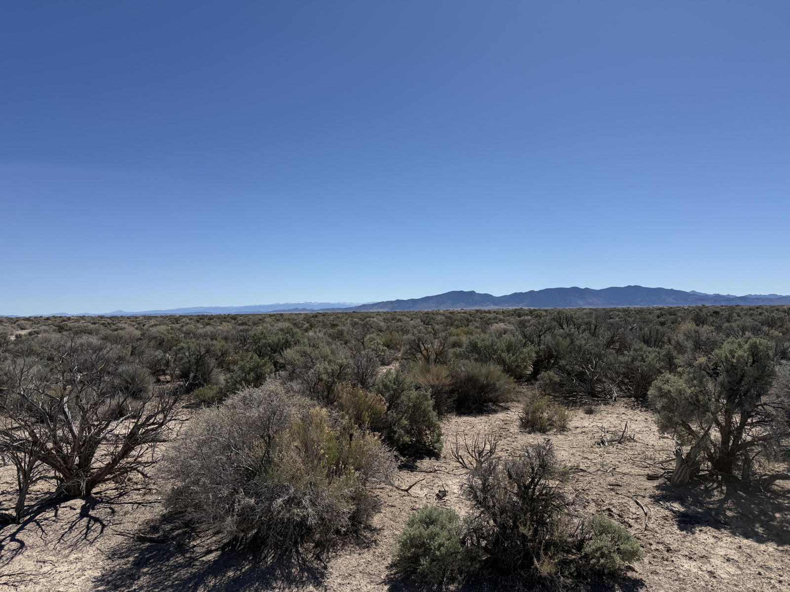 80 Acres (E-1271-0004-0036), Beryl, photo 1