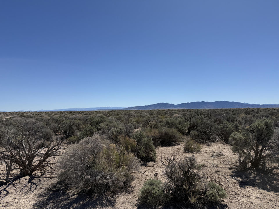 80 Acres (E-1271-0004-0036), Beryl