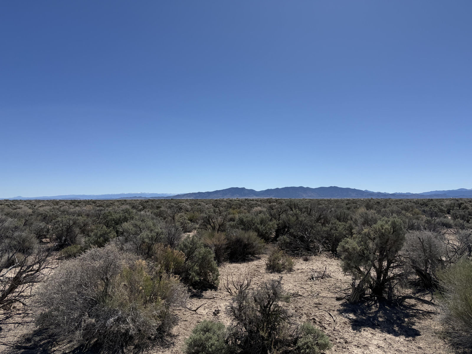 80 Acres (E-1271-0004-0036), Beryl, photo 11 of 15